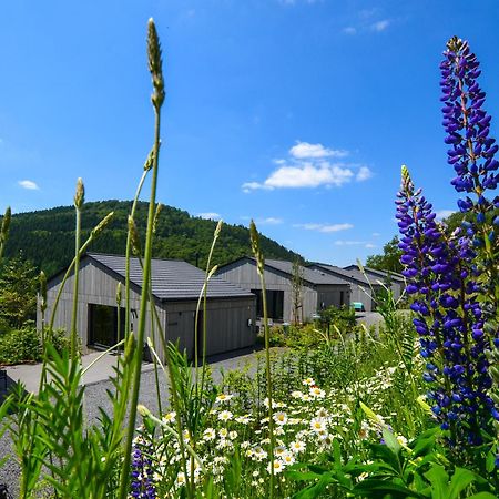 Sauerland Lodge - Haus Juliana Βίντερμπεργκ Εξωτερικό φωτογραφία