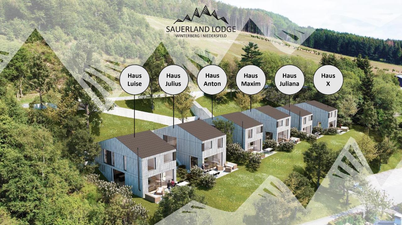 Sauerland Lodge - Haus Juliana Βίντερμπεργκ Εξωτερικό φωτογραφία