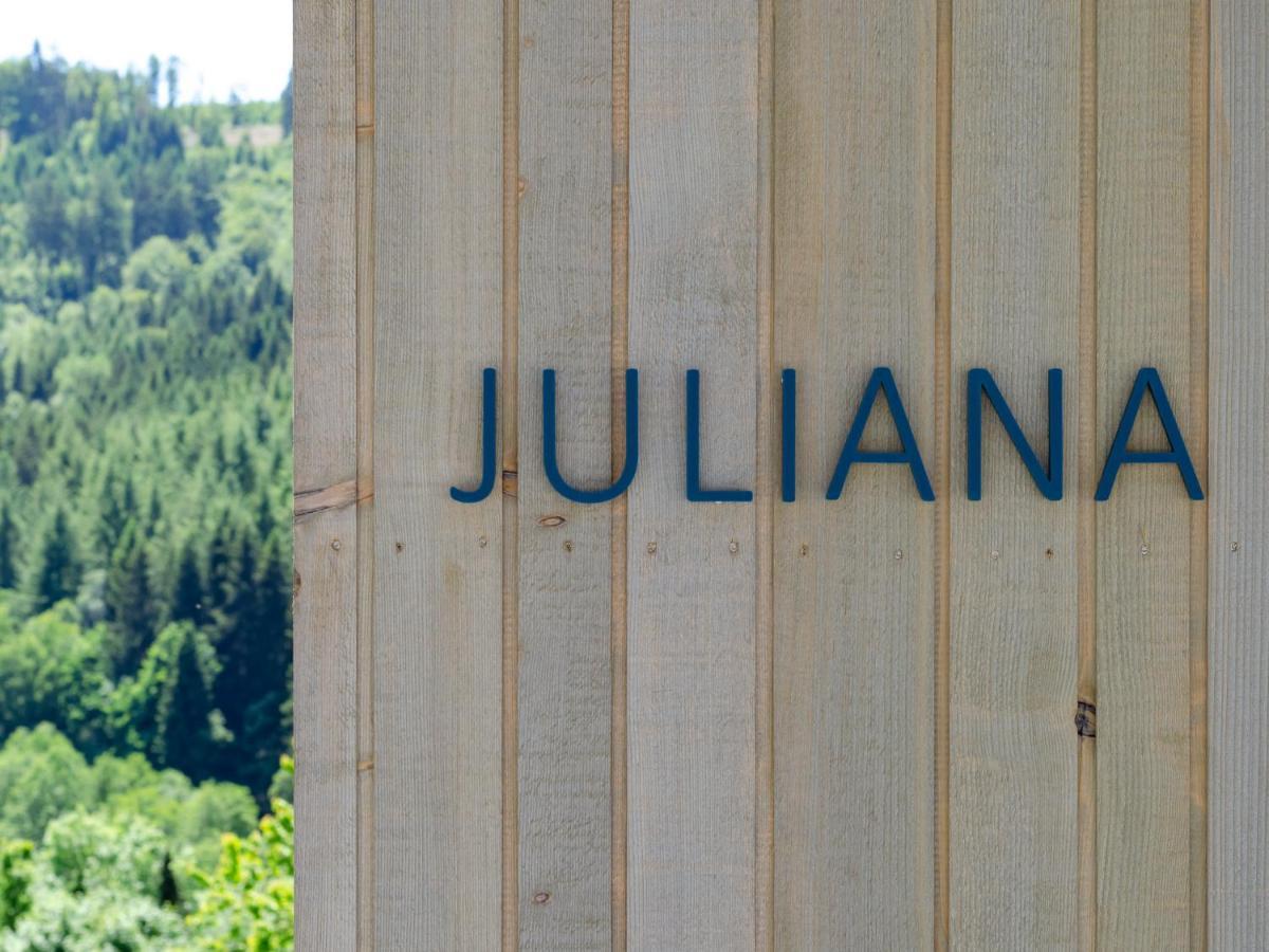 Sauerland Lodge - Haus Juliana Βίντερμπεργκ Εξωτερικό φωτογραφία