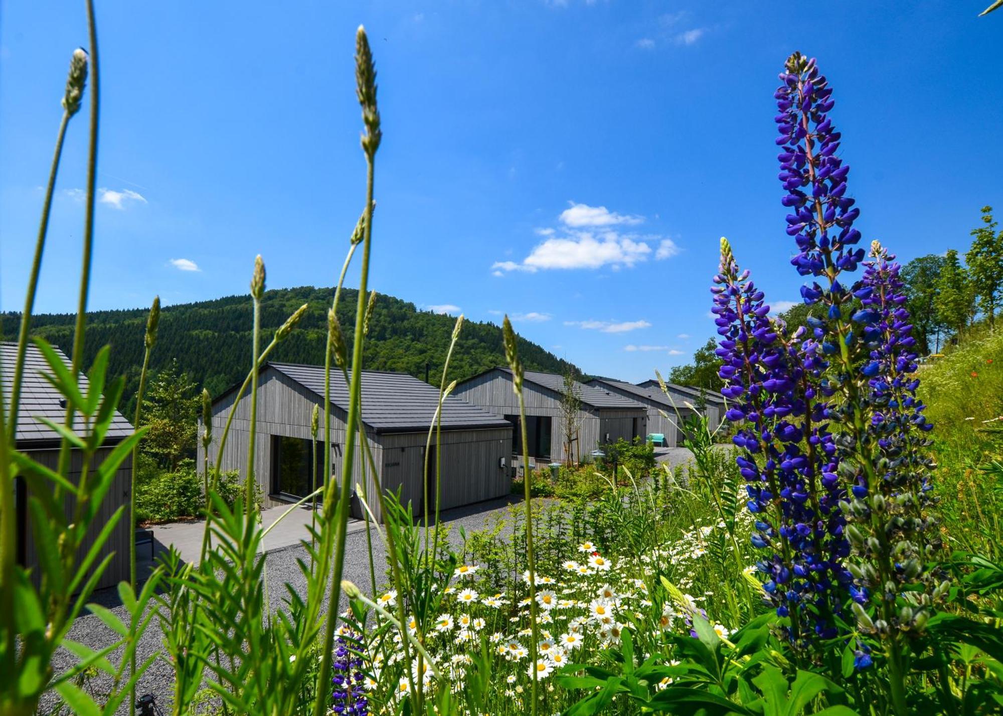 Sauerland Lodge - Haus Juliana Βίντερμπεργκ Εξωτερικό φωτογραφία