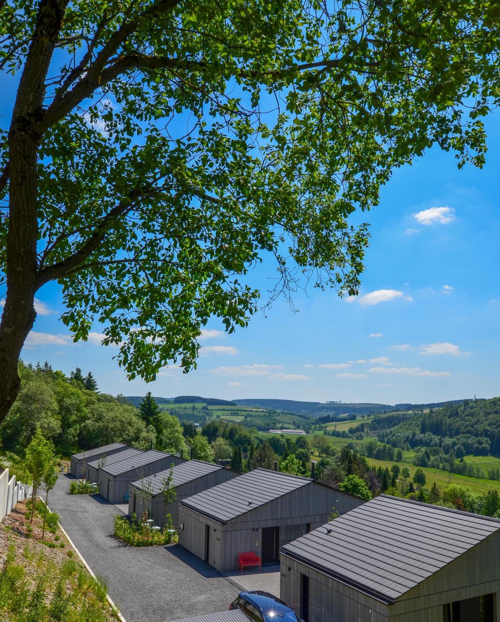Sauerland Lodge - Haus Juliana Βίντερμπεργκ Εξωτερικό φωτογραφία